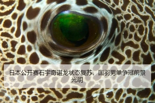 日本公开赛石宇奇谌龙状态复苏，国羽男单争冠前景光明