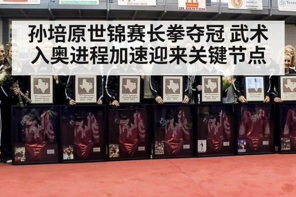 孙培原世锦赛长拳夺冠 武术入奥进程加速迎来关键节点
