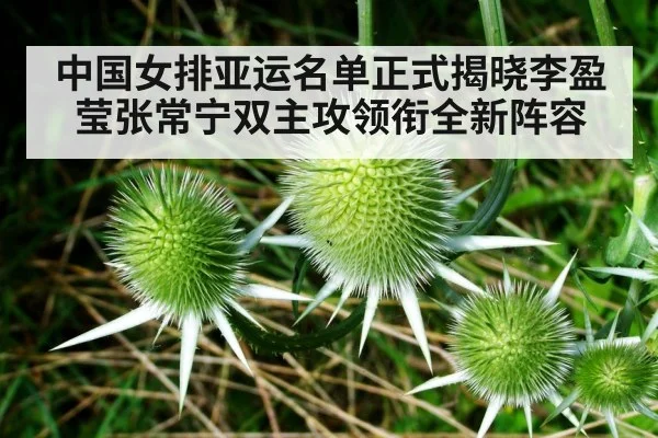 Li Yingying Zhang Changning spike